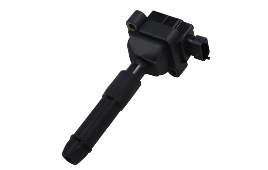 Bobine d'allumage ZS041 Borgwarner Beru, Image 2