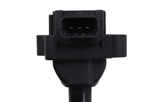 Bobine d'allumage ZS041 Borgwarner Beru, Image 3