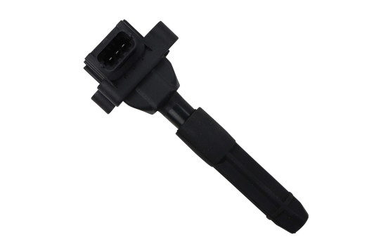 Bobine d'allumage ZS041 Borgwarner Beru, Image 4