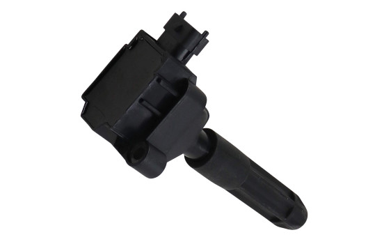 Bobine d'allumage ZS041 Borgwarner Beru, Image 5
