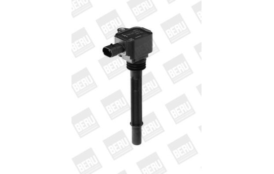 Bobine d'allumage ZS090 Borgwarner Beru, Image 2