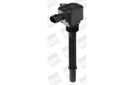 Bobine d'allumage ZS090 Borgwarner Beru, Image 3