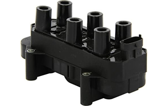 Bobine d'allumage ZS306 Borgwarner Beru