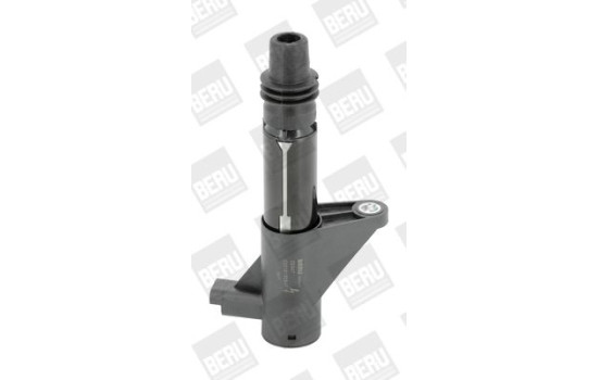 Bobine d'allumage ZS347 Borgwarner Beru, Image 2