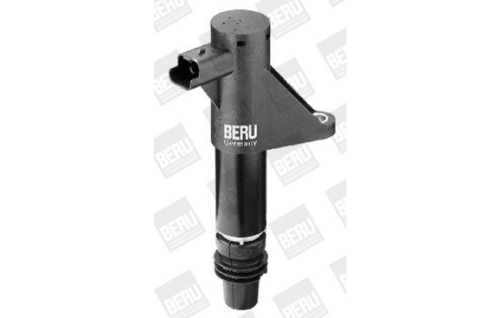 Bobine d'allumage ZS347 Borgwarner Beru, Image 3
