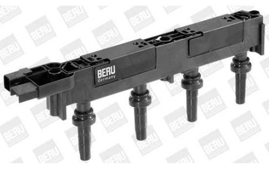 Bobine d'allumage ZS348 Borgwarner Beru, Image 2