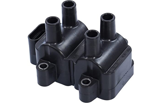 Bobine d'allumage ZS354 Borgwarner Beru