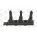 Bobine d'allumage ZS359 Borgwarner Beru, Vignette 3