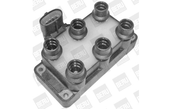 Bobine d'allumage ZS371 Borgwarner Beru, Image 3