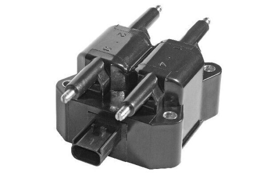 Bobine d'allumage ZS380 Borgwarner Beru