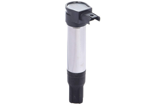 Bobine d'allumage ZS385 Borgwarner Beru