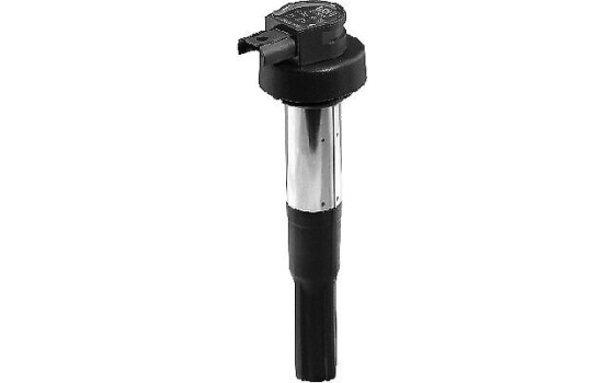 Bobine d'allumage ZS386 Borgwarner Beru