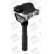 Bobine d'allumage ZS428 Borgwarner Beru, Vignette 3