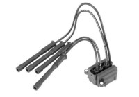 Bobine d'allumage ZS454 Borgwarner Beru