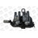 Bobine d'allumage ZS541 Borgwarner Beru, Vignette 2