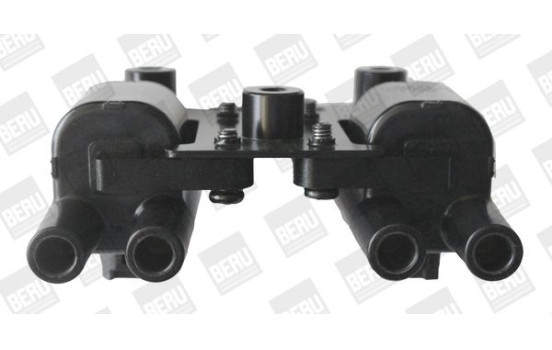 Bobine d'allumage ZS543 Borgwarner Beru, Image 2