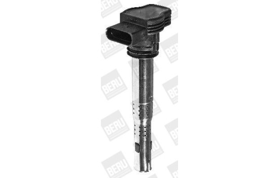 Bobine d'allumage ZSE033 Borgwarner Beru, Image 4