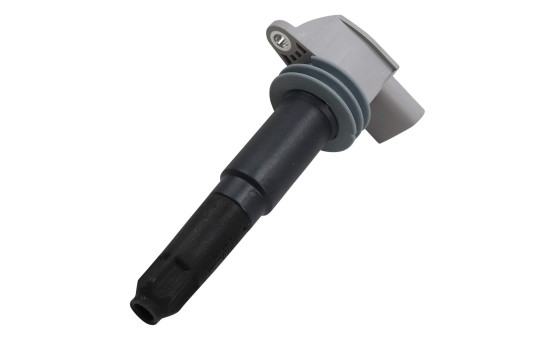 Bobine d'allumage ZSE052 Borgwarner Beru, Image 2