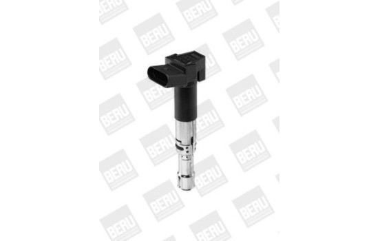 Bobine d'allumage ZSE065 Borgwarner Beru, Image 3