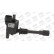 Bobine d'allumage ZSE083 Borgwarner Beru, Vignette 2