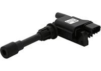 Bobine d'allumage ZSE083 Borgwarner Beru