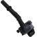 Bobine d'allumage ZSE093 Borgwarner Beru