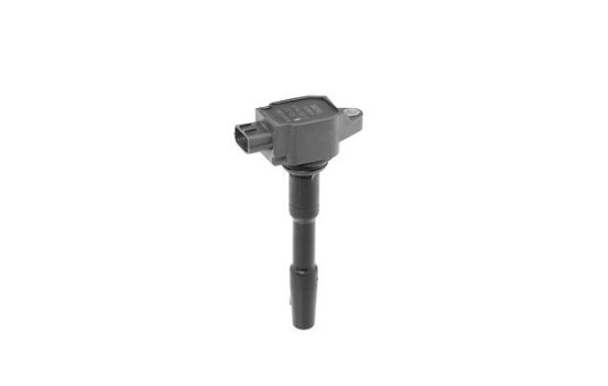 Bobine d'allumage ZSE131 Borgwarner Beru, Image 3