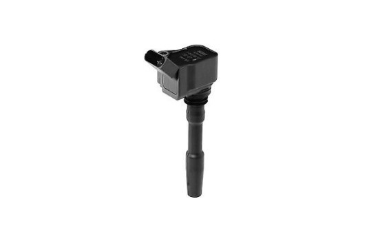 Bobine d'allumage ZSE137 Borgwarner Beru