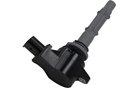 Bobine d'allumage ZSE140 Borgwarner Beru, Image 2
