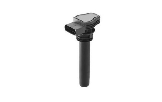 Bobine d'allumage ZSE142 Borgwarner Beru
