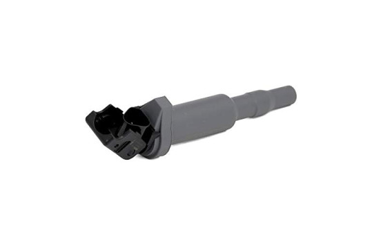 Bobine d'allumage ZSE144 Borgwarner Beru, Image 3