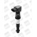 Bobine d'allumage ZSE148 Borgwarner Beru, Vignette 2
