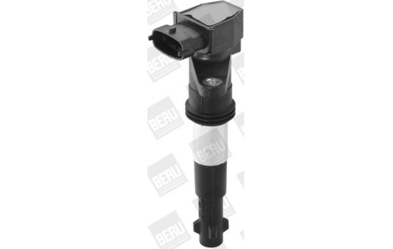 Bobine d'allumage ZSE148 Borgwarner Beru, Image 3