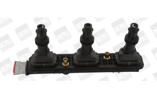 Bobine d'allumage ZSE153 Borgwarner Beru, Image 2