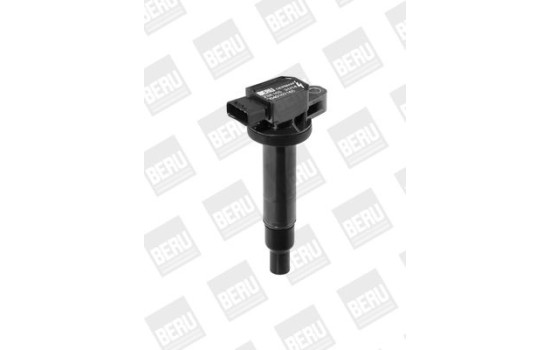 Bobine d'allumage ZSE165 Borgwarner Beru