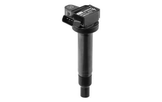 Bobine d'allumage ZSE172 Borgwarner Beru, Image 3