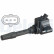 Bobine GN10882-12B1 Delphi, Vignette 10
