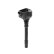 Bobine ZS595 Borgwarner Beru