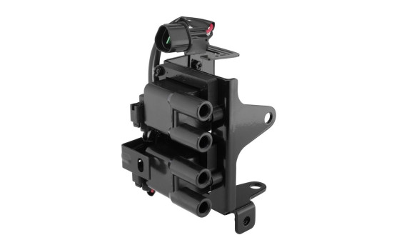 Bobine ZS611 Borgwarner Beru