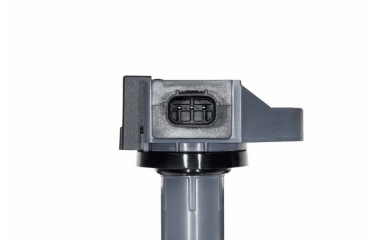 Bobine ZSE308 Borgwarner Beru, Image 3