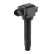 Bobine ZSE321 Borgwarner Beru