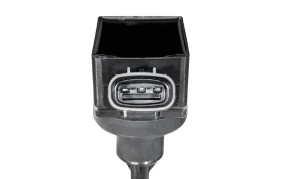 Bobine ZSE322 Borgwarner Beru, Image 3