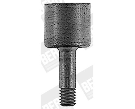 Manchon de fiche, système d'allumage RHB003 Beru