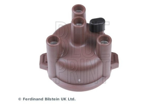 Tête d'allumeur, Image 2