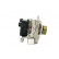 Alternateur 225.502.070.000 PlusLine, Vignette 4