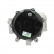 Alternateur 485.404.190.080 PlusLine, Vignette 3