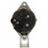 Alternateur 505.591.150.050 PlusLine, Vignette 3