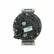 Alternateur 555.555.180.014 PlusLine, Vignette 3