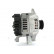 Alternateur 575.530.075.000 PlusLine, Vignette 3