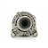 Alternateur 575.568.150.010 PlusLine, Vignette 2